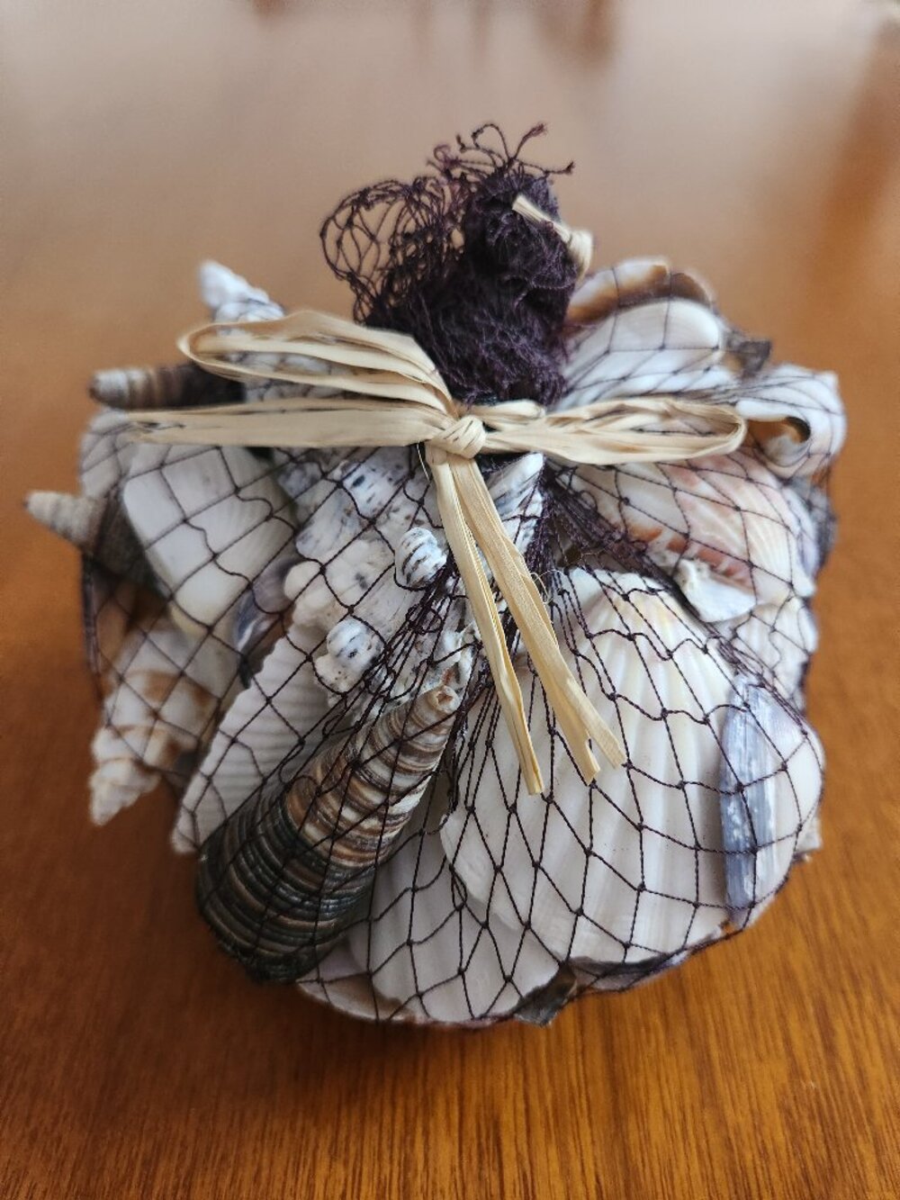 Pottery Barn Shells